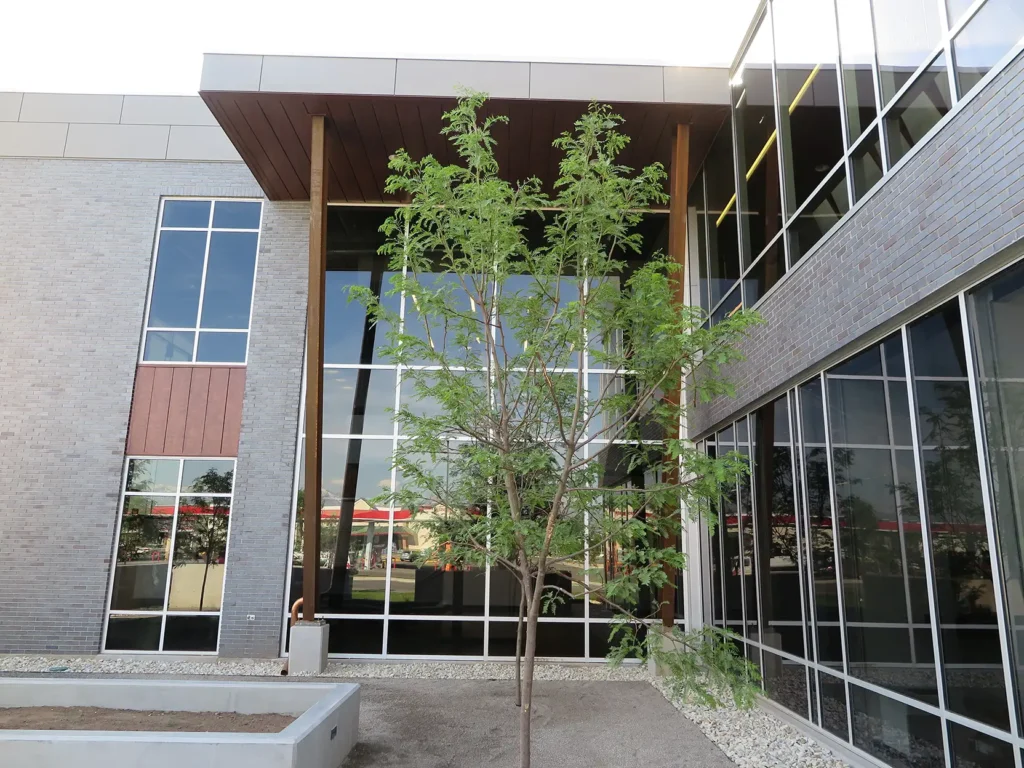 ae_urbia_cve 13_3 AE Urbia Architects and Engineers CVE Office Building