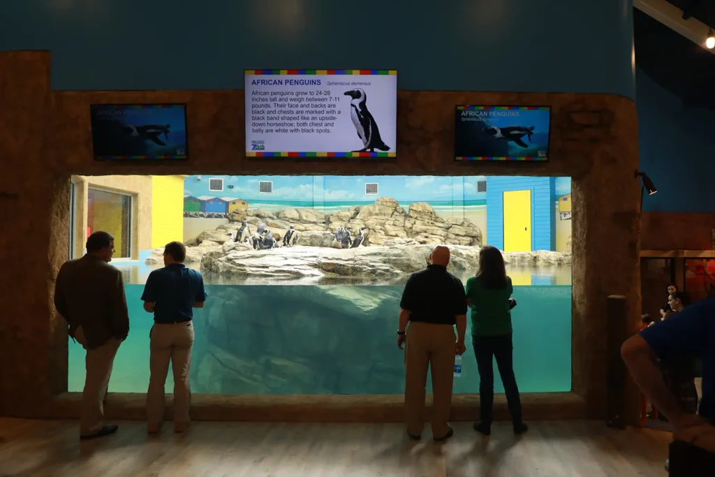 ae-urbia-turtle-back-zoo-penguin-exhibit-1 AE Urbia Architects and Engineers Turtle Back Zoo Penguin Exhibit