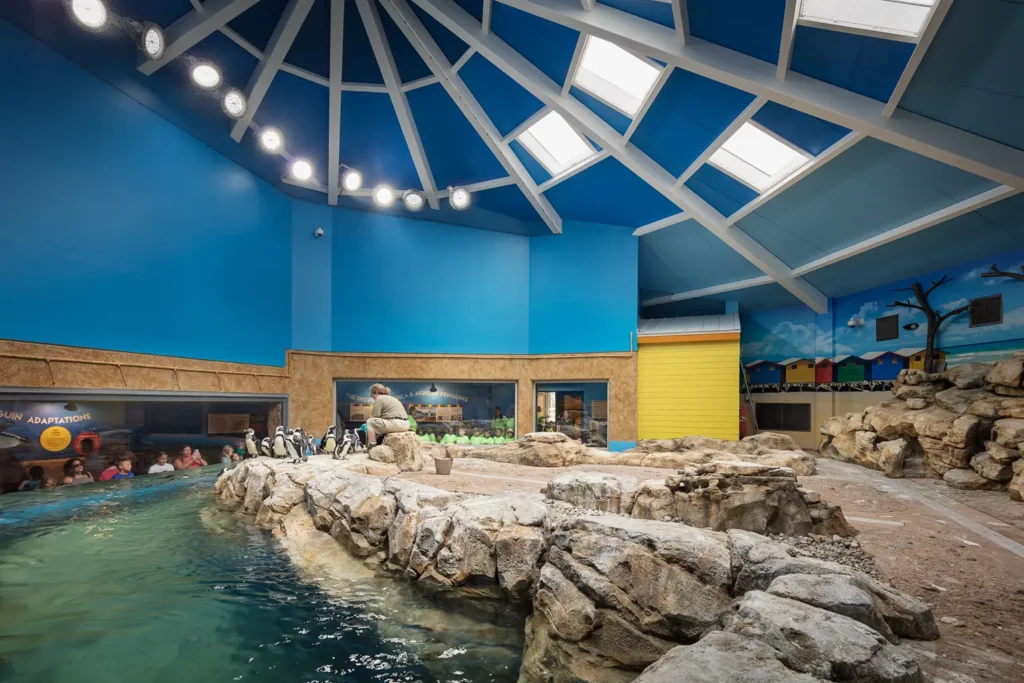 ae-urbia-turtle-back-zoo-penguin-exhibit-3 AE Urbia Architects and Engineers Turtle Back Zoo Penguin Exhibit