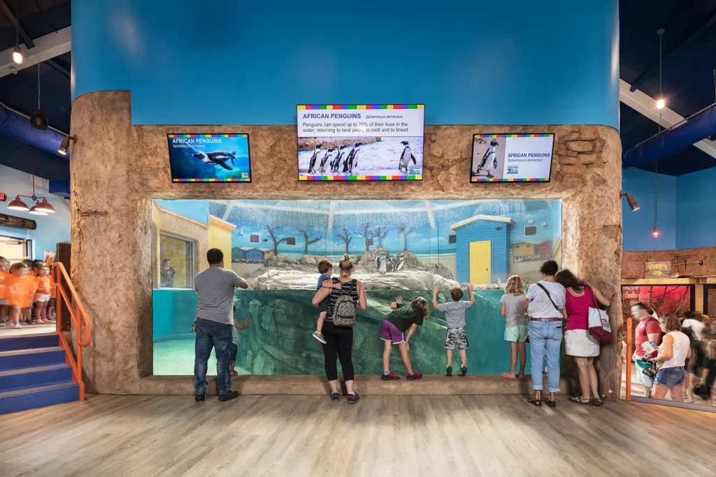 ae-urbia-turtle-back-zoo-penguin-exhibit-4 AE Urbia Architects and Engineers Turtle Back Zoo Penguin Exhibit